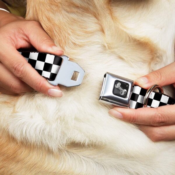 Buckle-Down Checker Black/White Dog Collar Bone, Medium/11-17" - Image 3