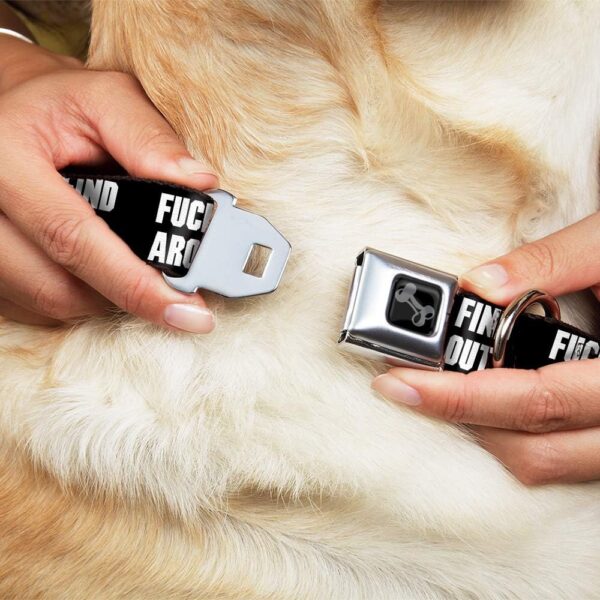 Dog Collar Seatbelt Buckle FAFO Fuck Around and Find Out Bold Black White 18 to 32 Inches 1.5 Inch Wide - Image 3