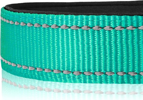 Joytale Reflective Dog Collar,Soft Neoprene Padded Breathable Nylon Pet Collar Adjustable for Large Dogs,Teal,L - Image 5