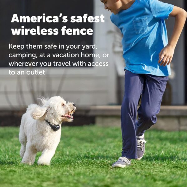 PetSafe Stay & Play Wireless Pet Fence & Replaceable Battery Collar - Circular Boundary Secures up to 3/4 Acre Yard, No-Dig, America's Safest Wireless Fence from Parent Company INVISIBLE FENCE Brand - Image 6