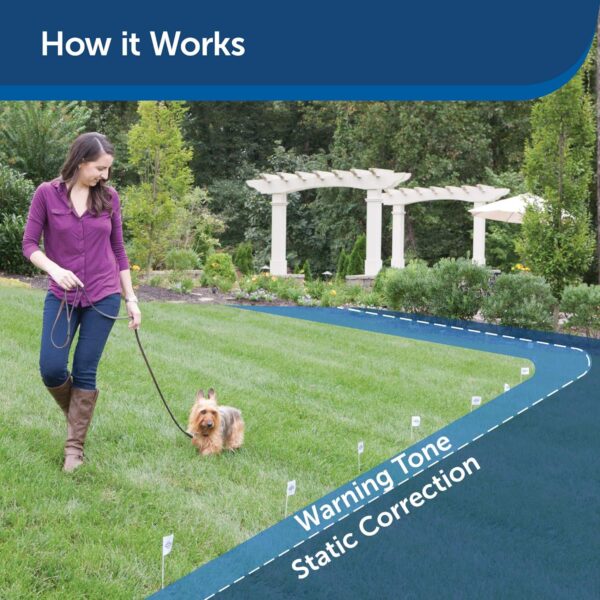 PetSafe Stubborn Dog In-Ground Pet Fence for Dogs and Cats - from The Parent Company of Invisible Fence Brand – Boundary Wire Not Included – Pick Your Wire Gauge Separately - Image 3