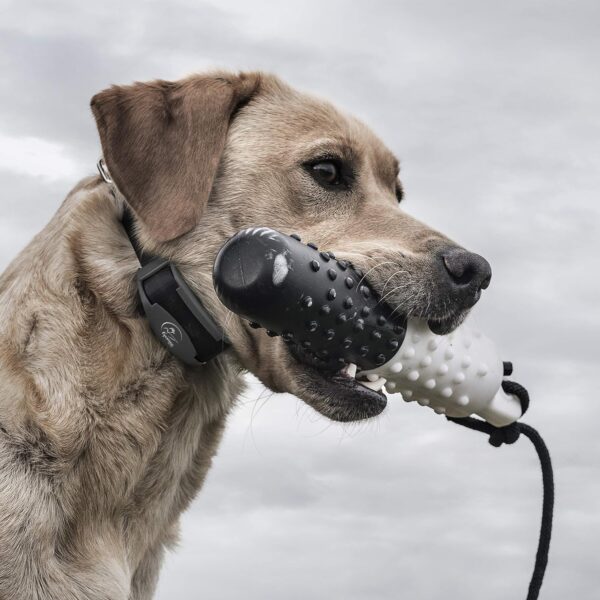 SportDOG Brand FieldTrainer 425X/SportHunter 825 Shock Collar - Additional, Replacement, or Extra Collar for Your Remote Trainer - Waterproof and Rechargeable with Tone, Vibration, and Shock - Image 5